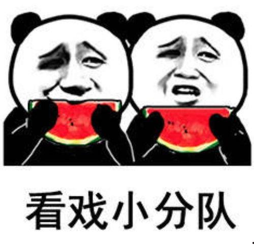 娱乐圈吃瓜专用表情包,那些让人捧腹大笑的吃瓜表情包大集合